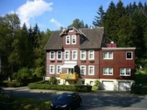  Harzhaus-am-Brunnen-Wohnung-4  Альтенау